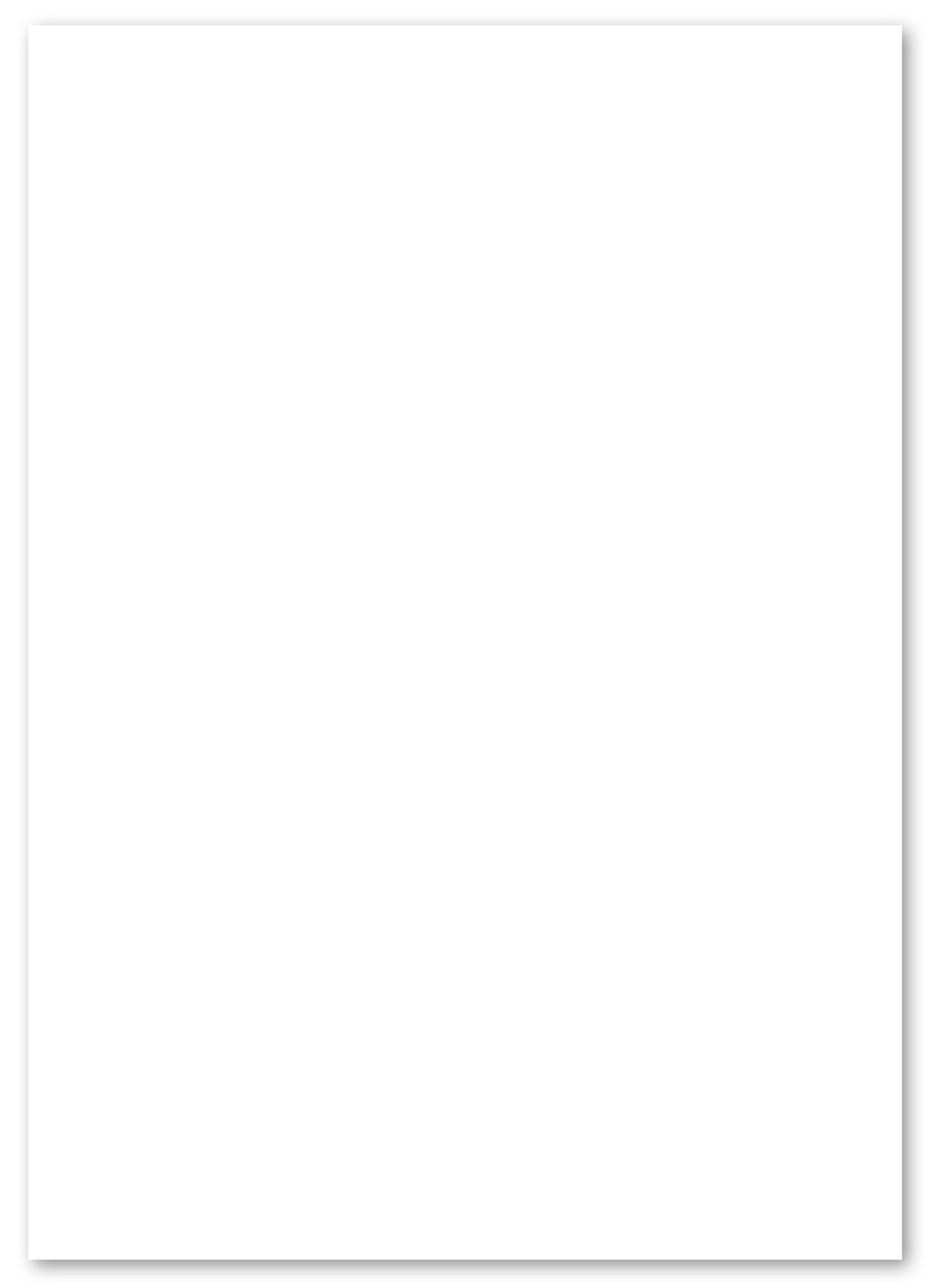 Paperwise Kopieer- en printerpapier A4 75 grams wit - 6 dozen-Nextsupplies